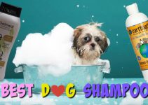 The Best Shampoo for Dogs – Waterless – Flea | Nice Smelling | Dry Skin